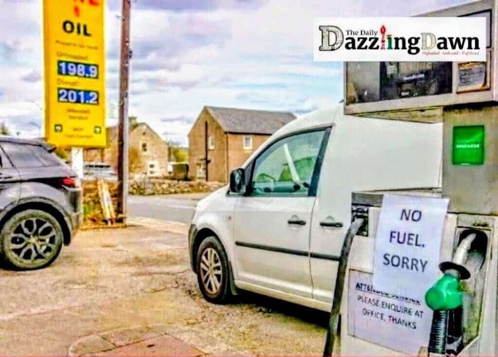 287205.jpg