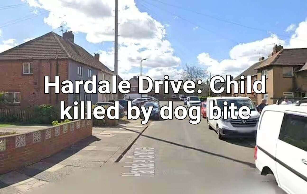 305681.jpg