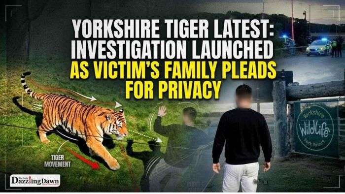 Yorkshire Tiger Latest: Investigation Launched as Victim Family Pleads for Privacy